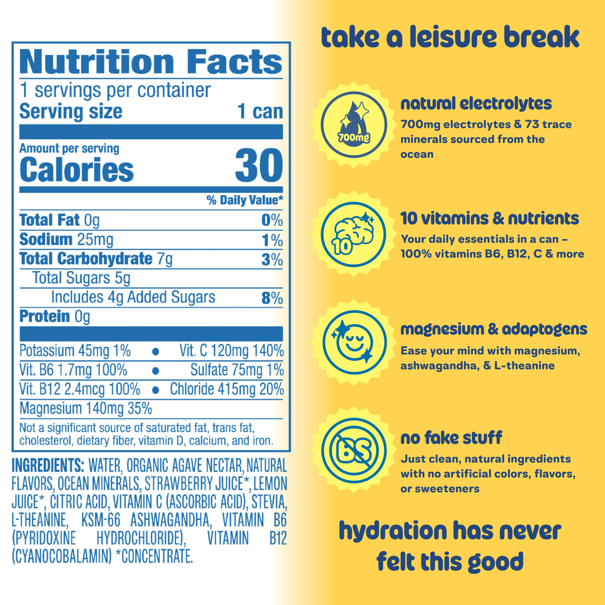 Leisure Hydration Electrolyte Lemonade